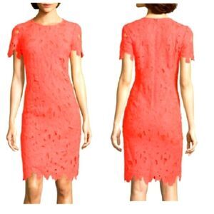 nwt sexy neon lace dress sz 10